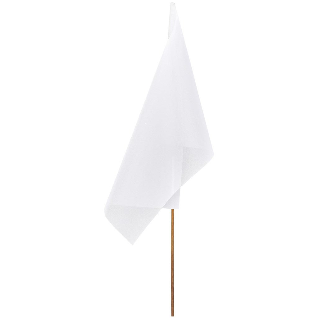 Champion Large Hand Flag 900mm x 600mm - Brand your company Logo! Get a quote - Promo Lingo