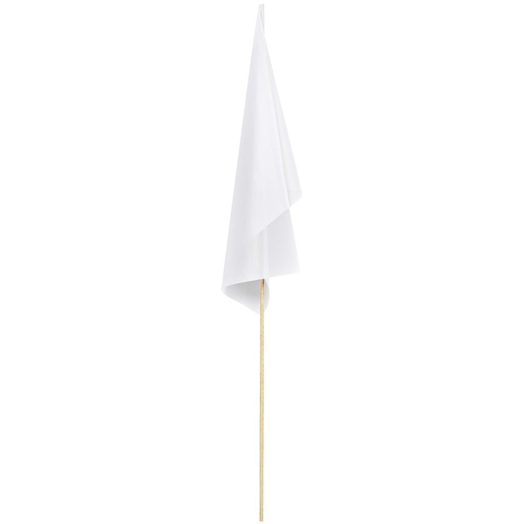 Champion Medium Hand Flag 450mm x 300mm - Brand your company Logo! Get a quote - Promo Lingo